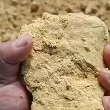 柠檬酸渣