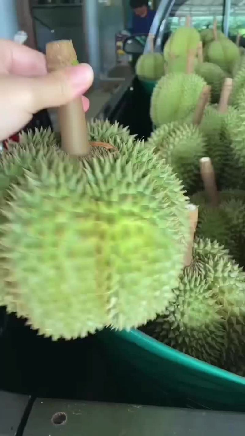 榴莲一件代发包邮