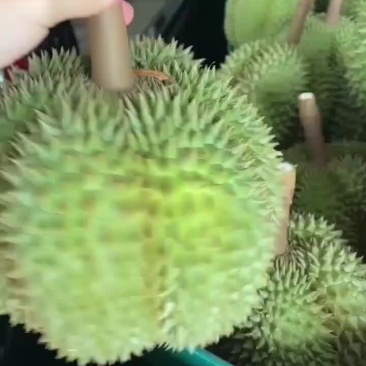 榴莲一件代发包邮
