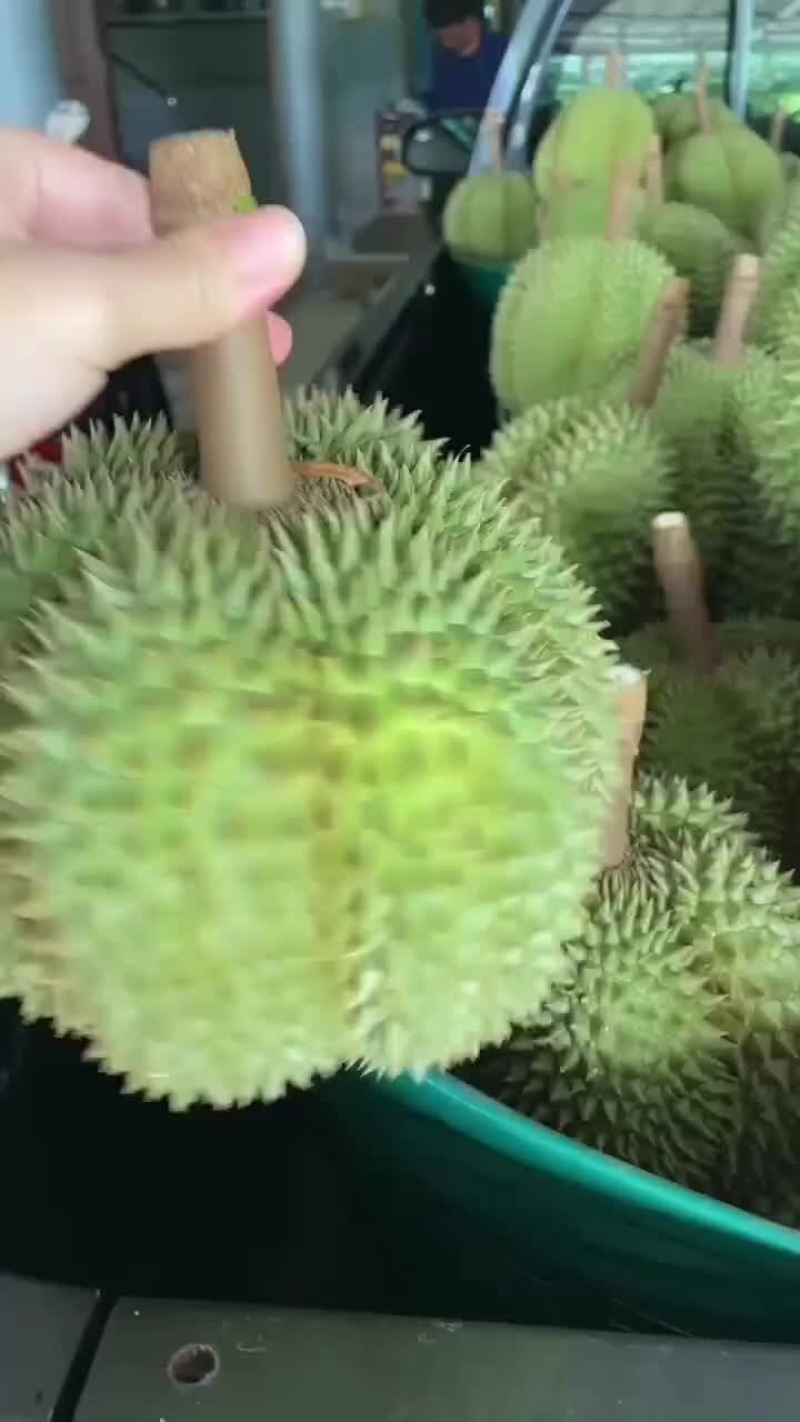 榴莲一件代发包邮
