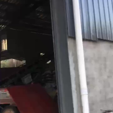 自家工厂羊粪球有机肥