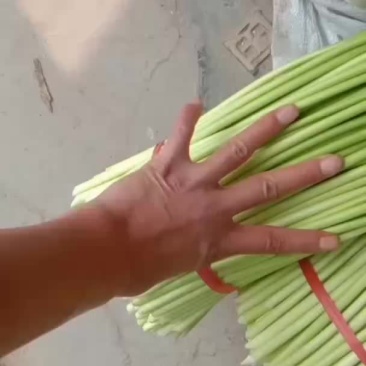 白帽蒜薹，红帽蒜薹
