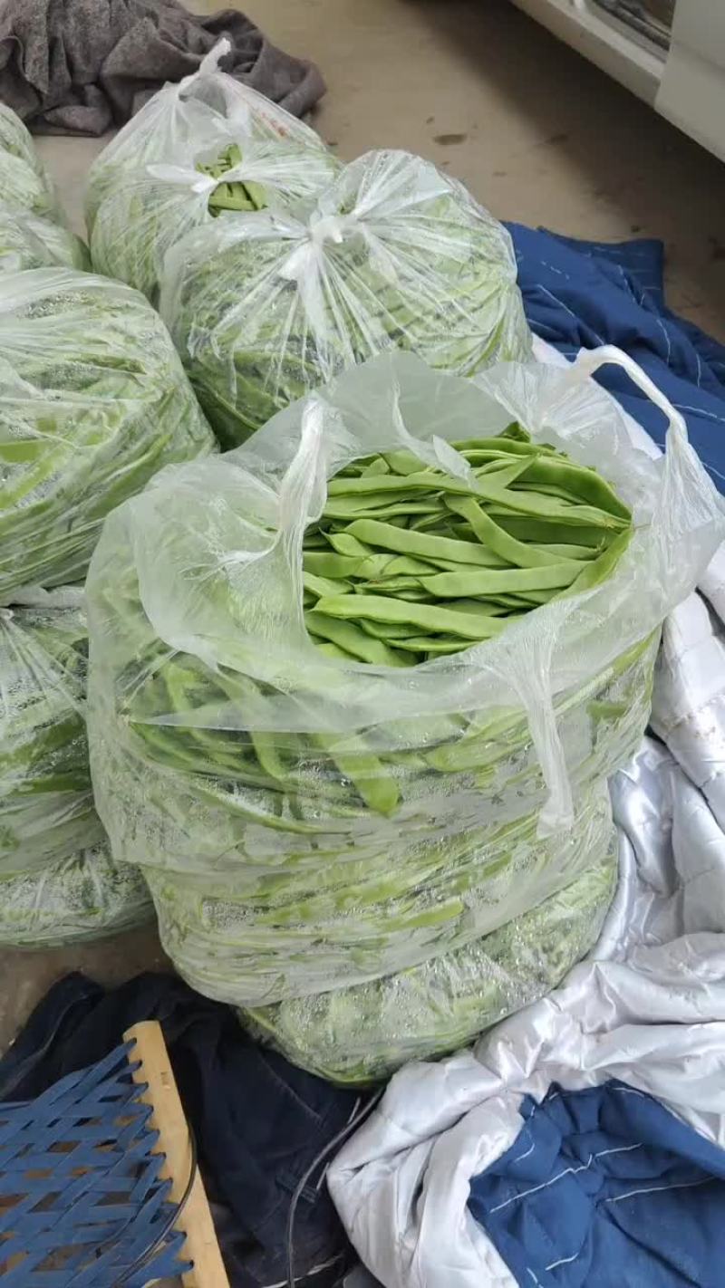 扁豆