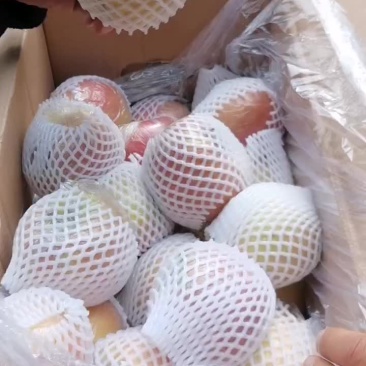 红富士苹果