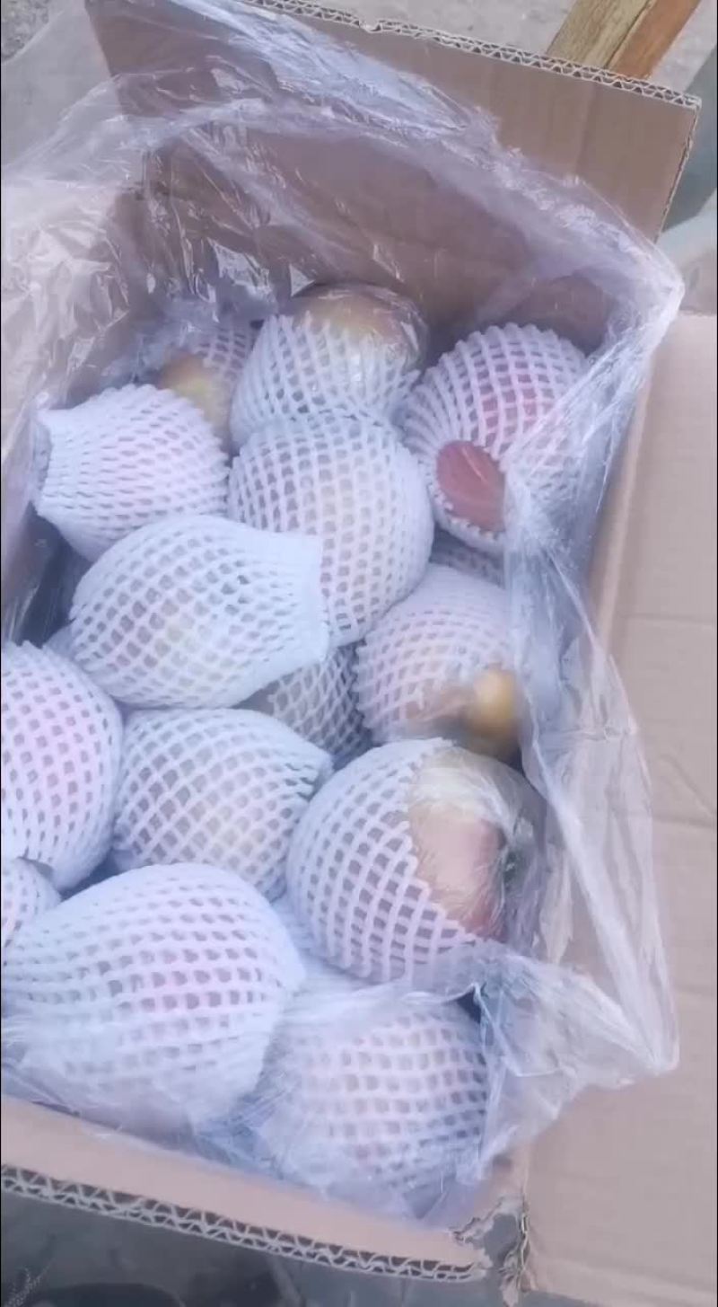红富士苹果