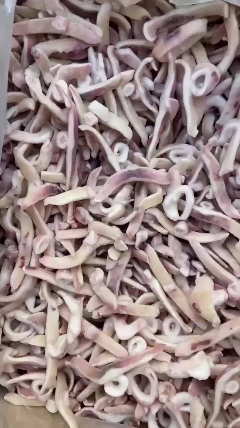 单冻鱿鱼小飞燕，厂家直销，质量保证量大从优