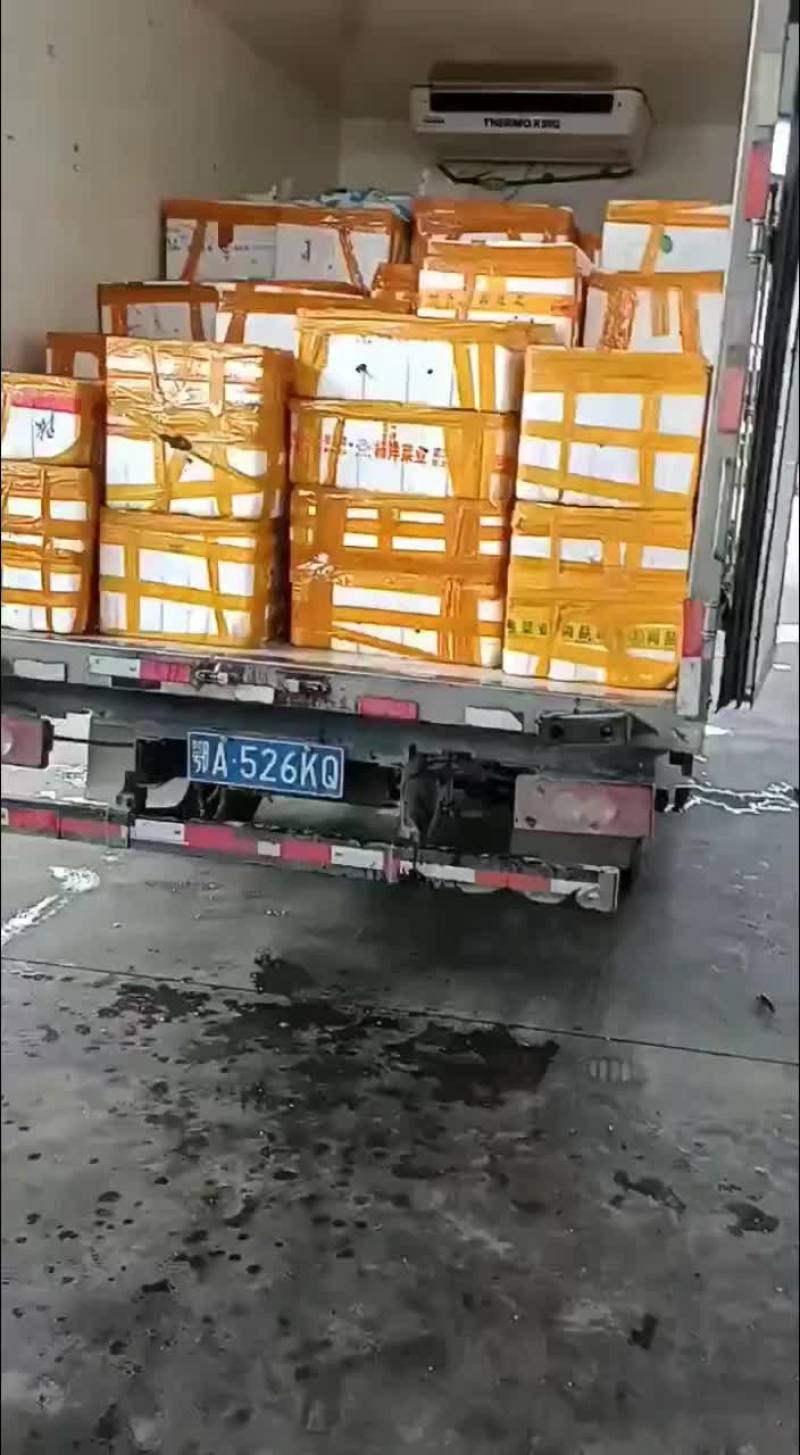 优质小龙虾