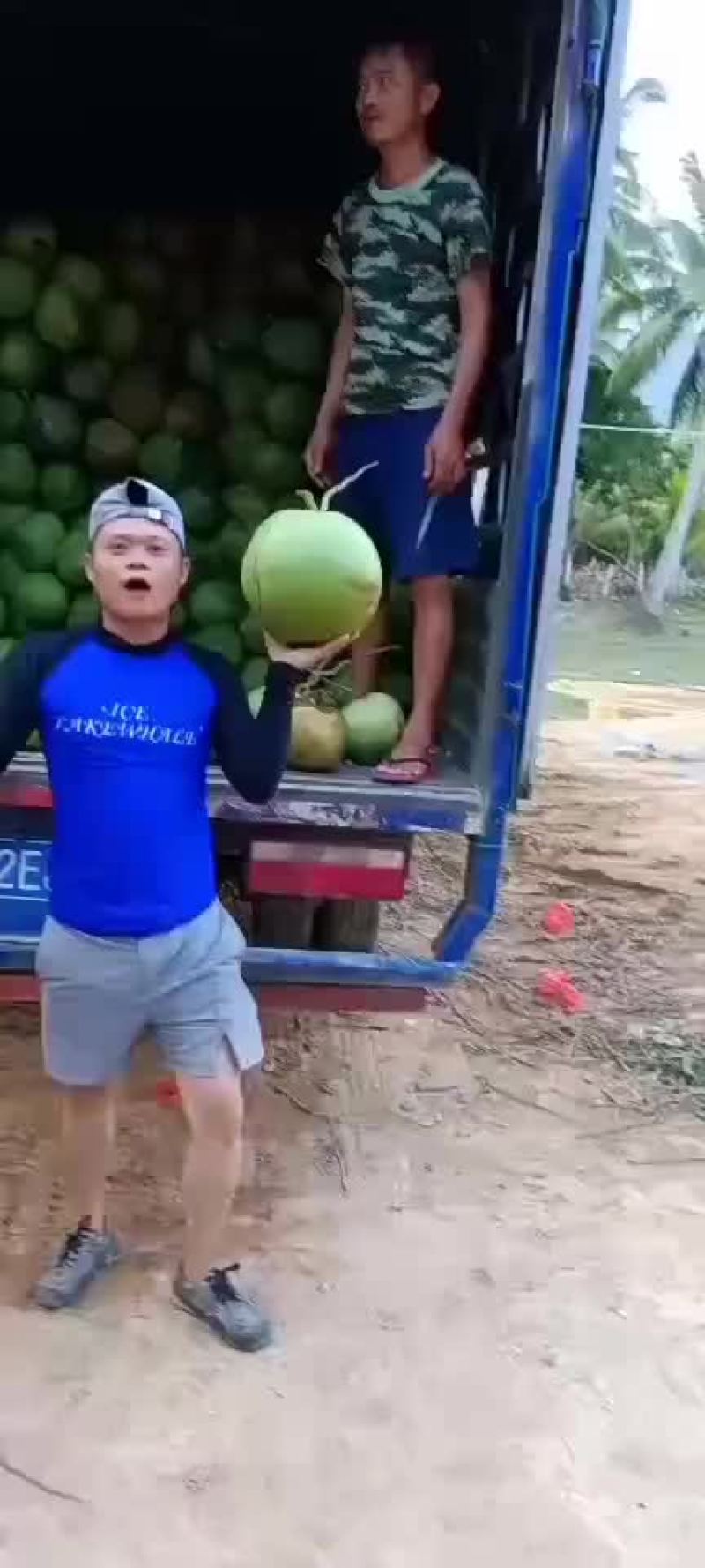 椰青