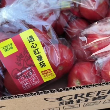 水果西红柿