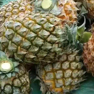 香水菠萝