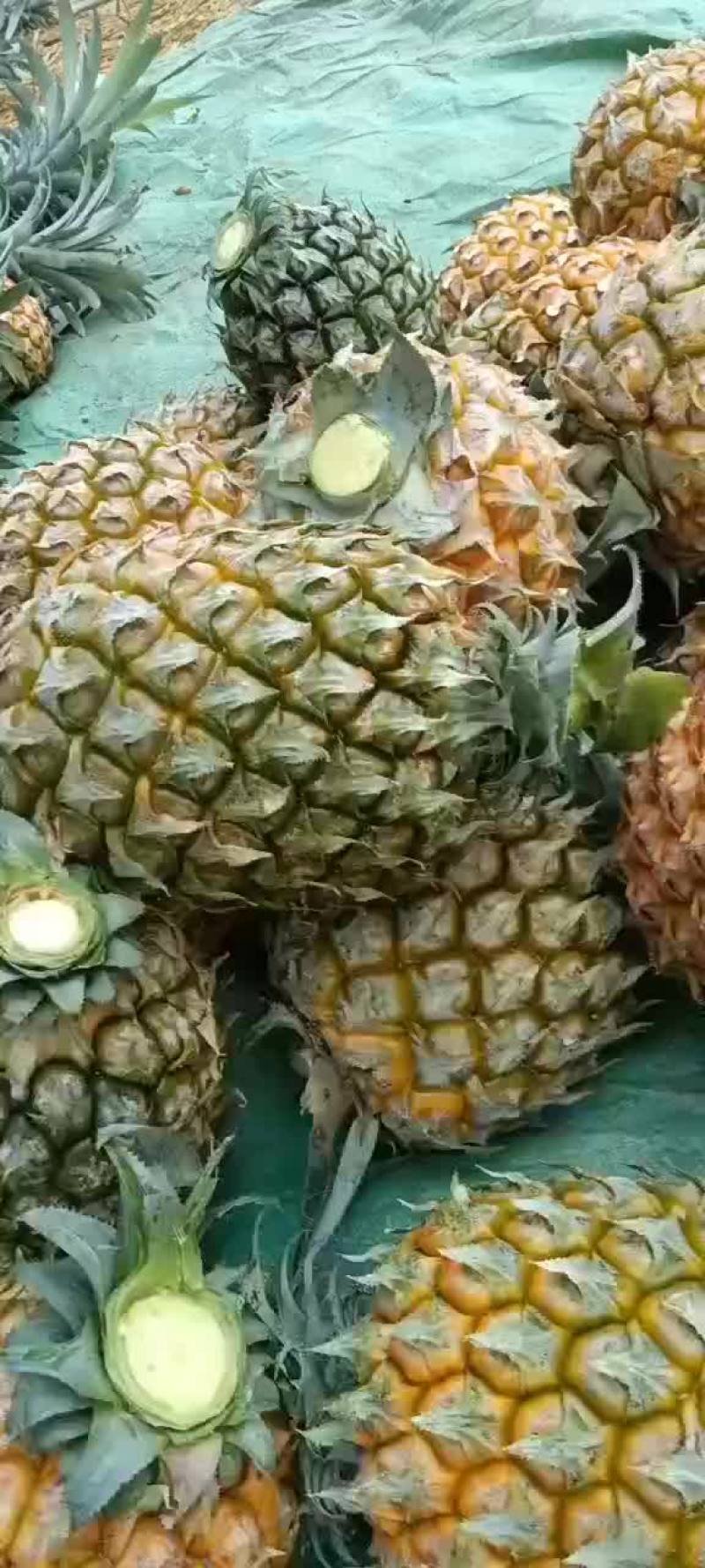 香水菠萝