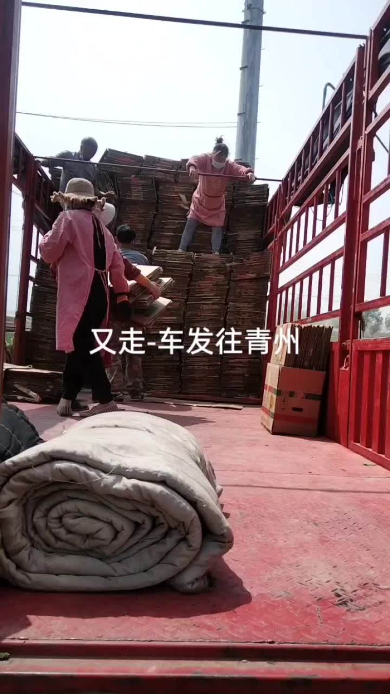 精品二手香蕉箱子长期供应发往全国