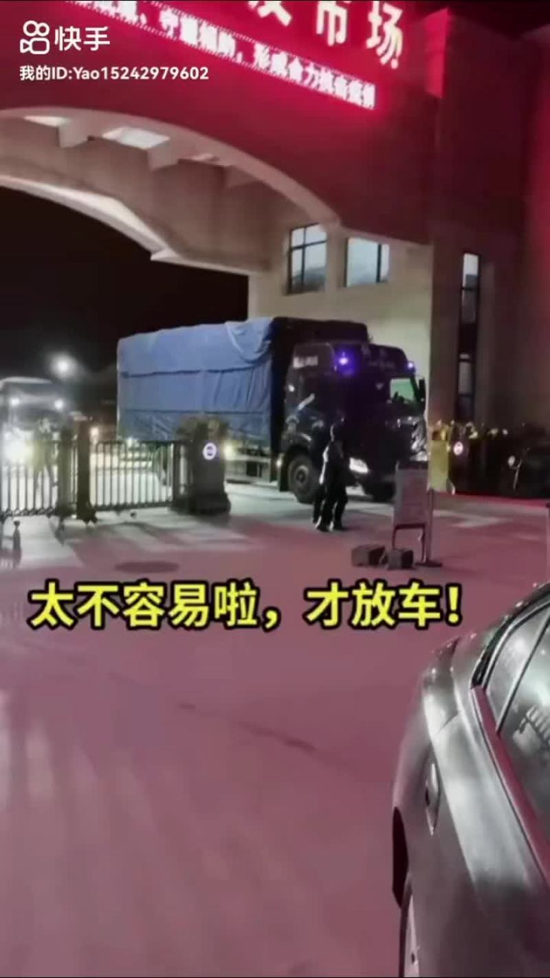 绥中旱黄瓜便宜了