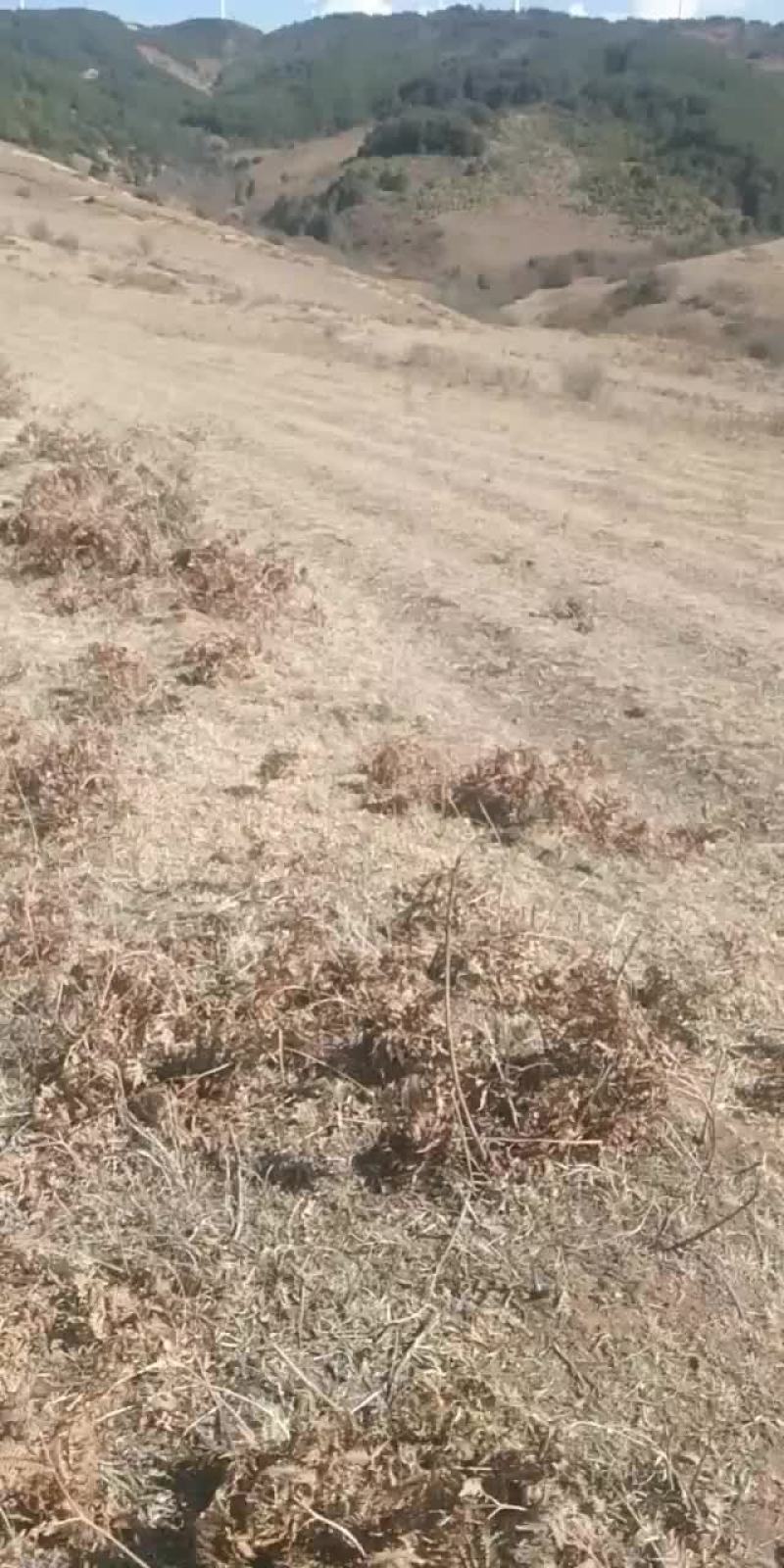 山地出租