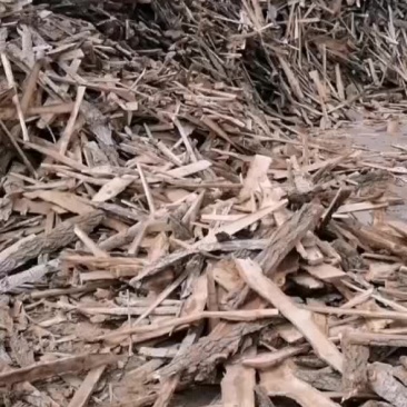 大量出售板皮地址吉林省长岭县