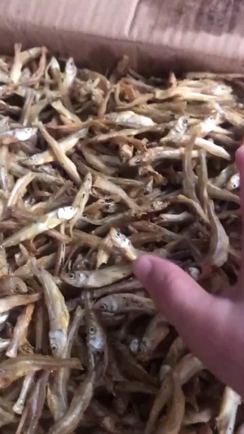 干鱼干虾