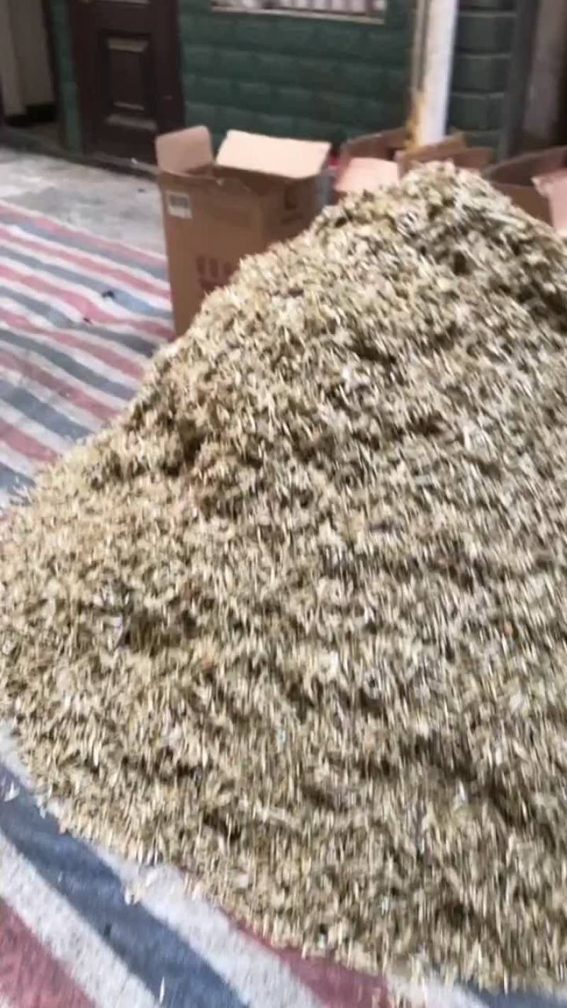火焙鱼