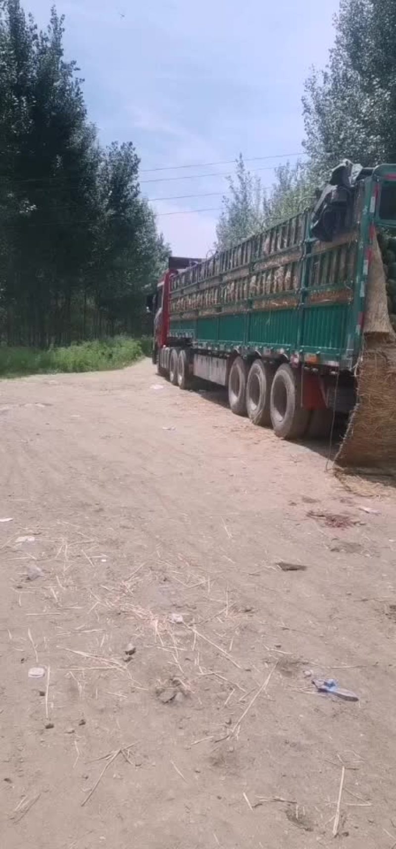 【精选】盖县甜王锦王四月末上市，需要的老板可以联系