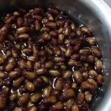 金龟子，苍虫，瞎碰，黑创子，