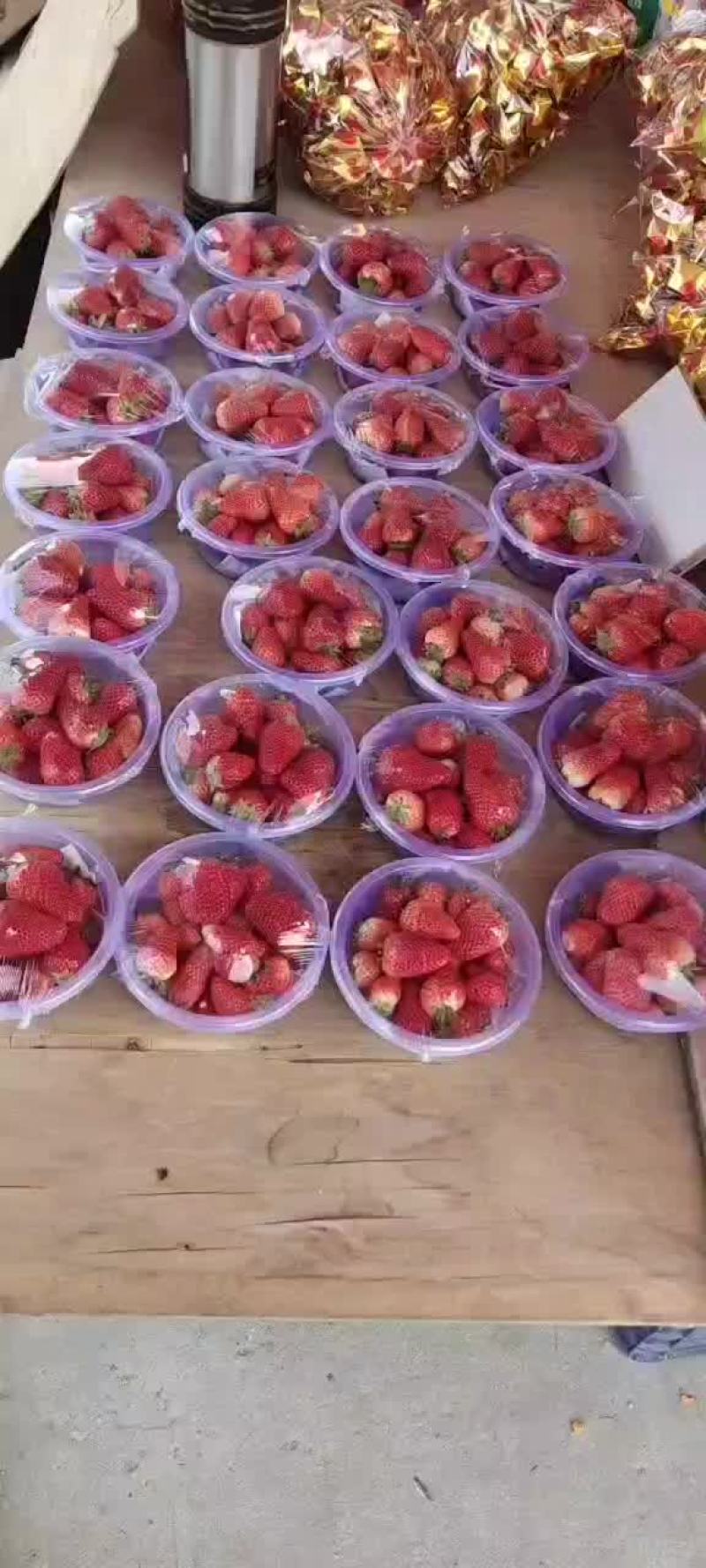 樱桃