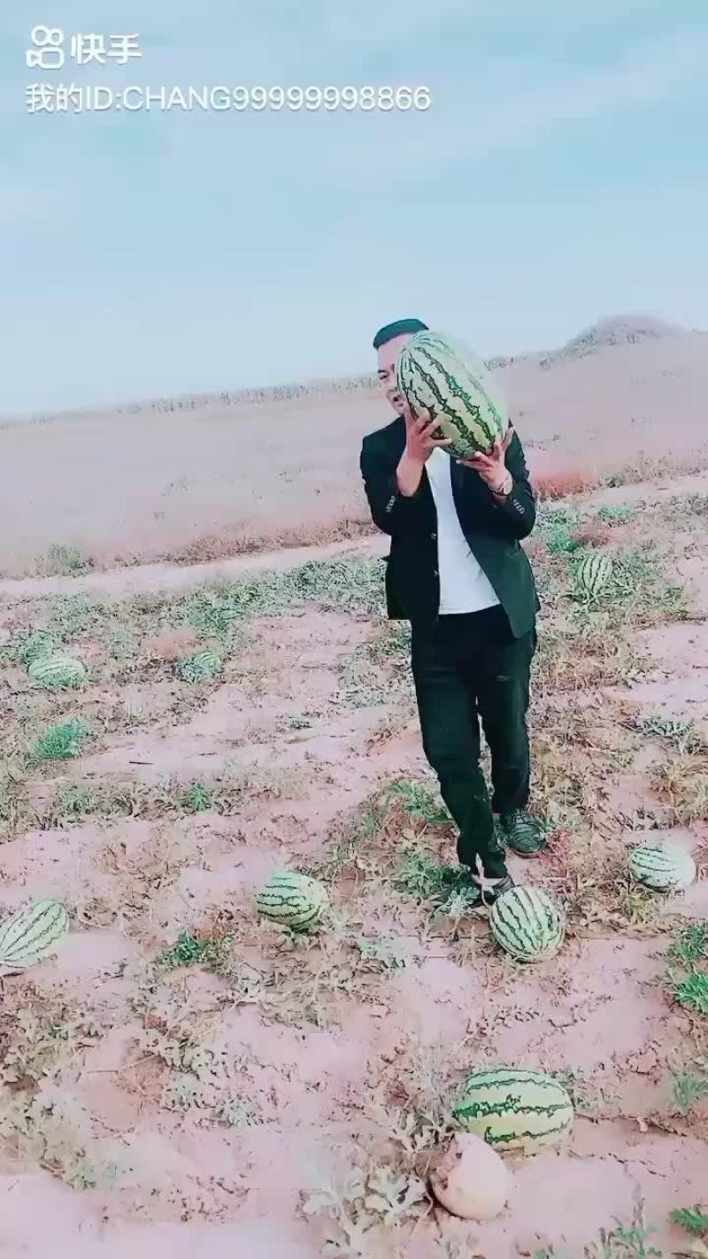 甜王西瓜