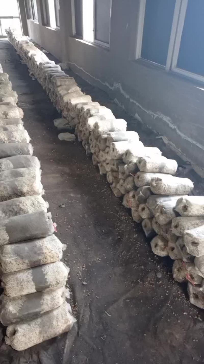 出售菌包