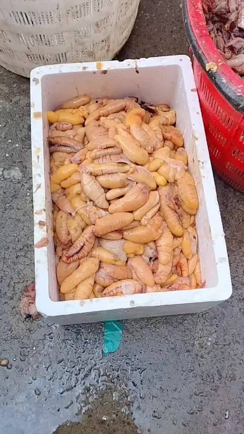 鲈鱼籽