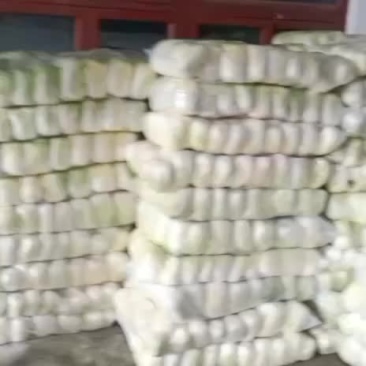 精品大娃娃菜价格美丽要的联系啊