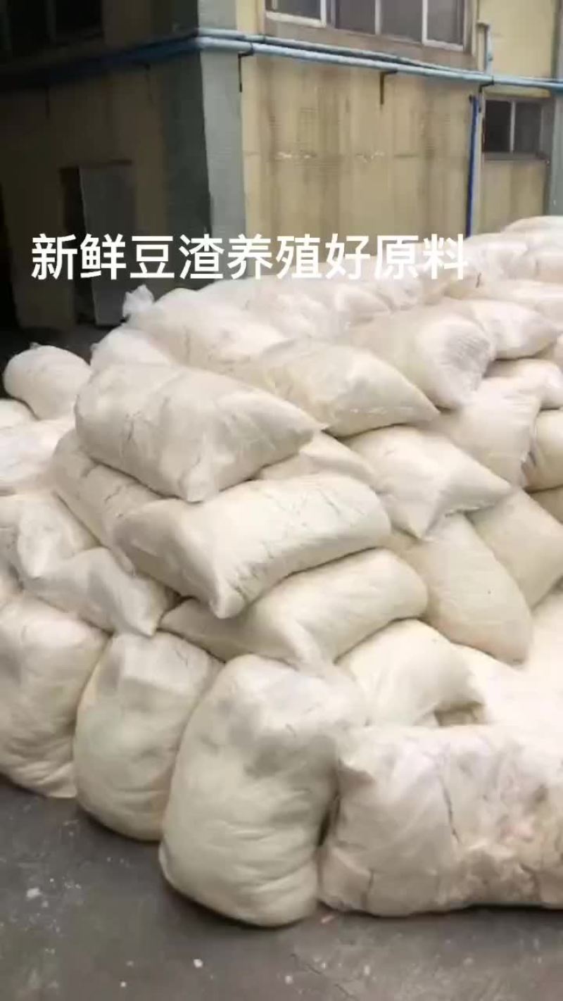 新鲜脱水豆渣，薄膜袋包装，好操作，易保存，五十斤左右一包
