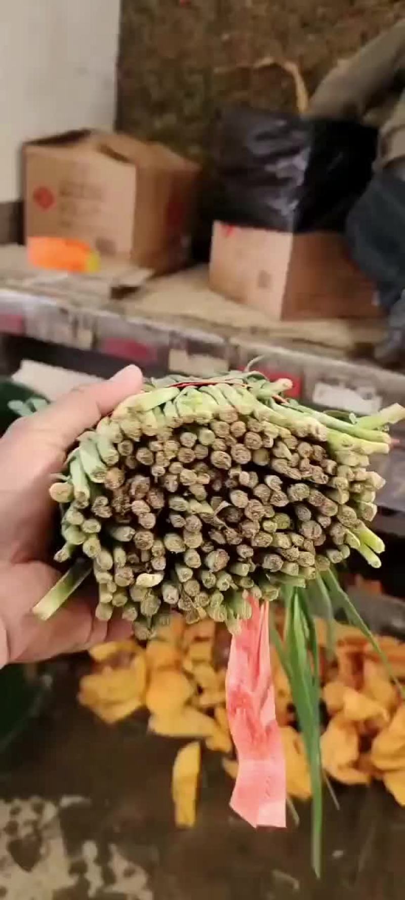 精品韭菜
