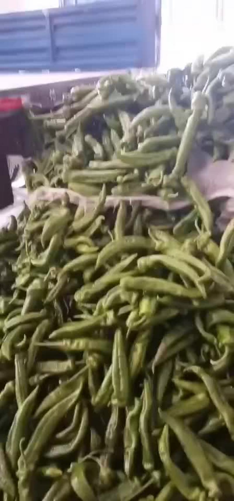 各种辣椒