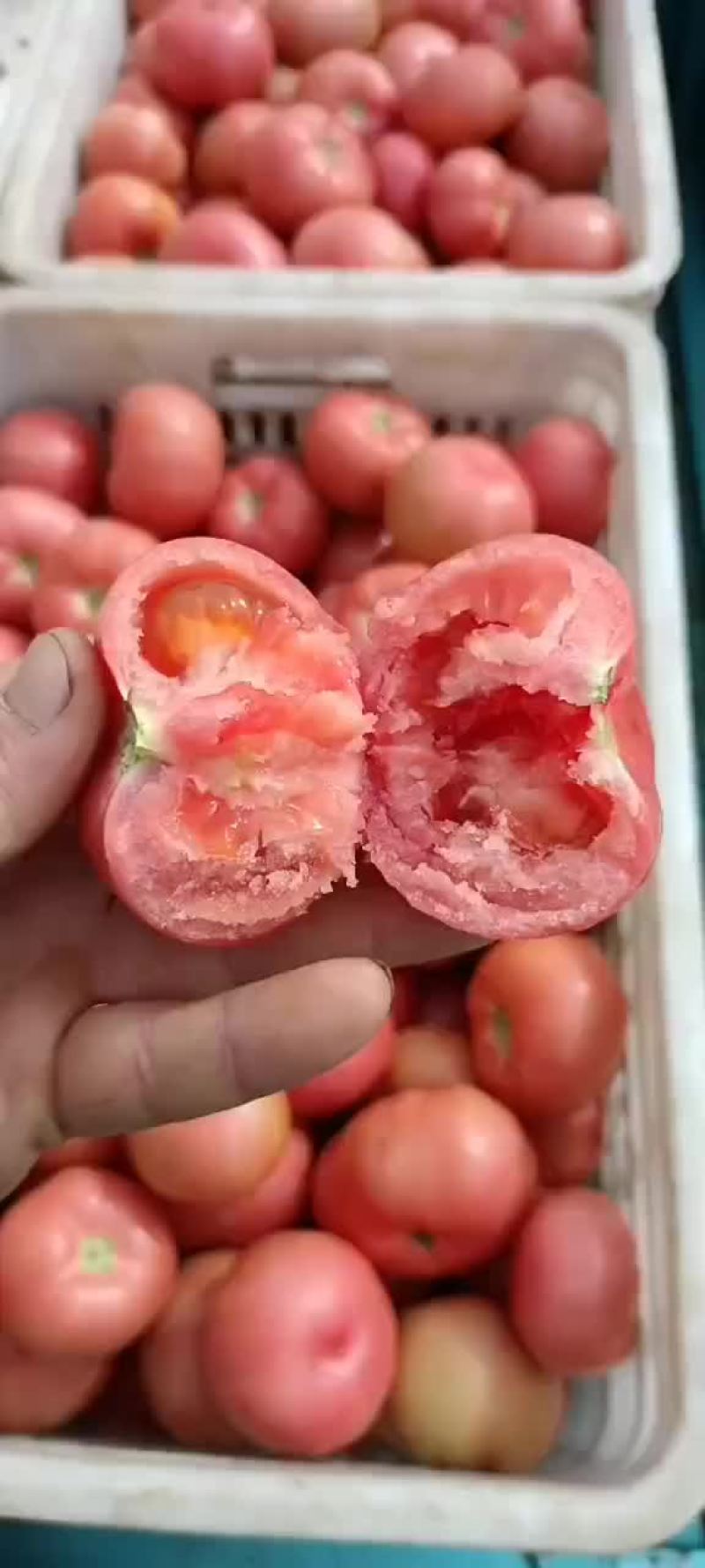 各种辣椒