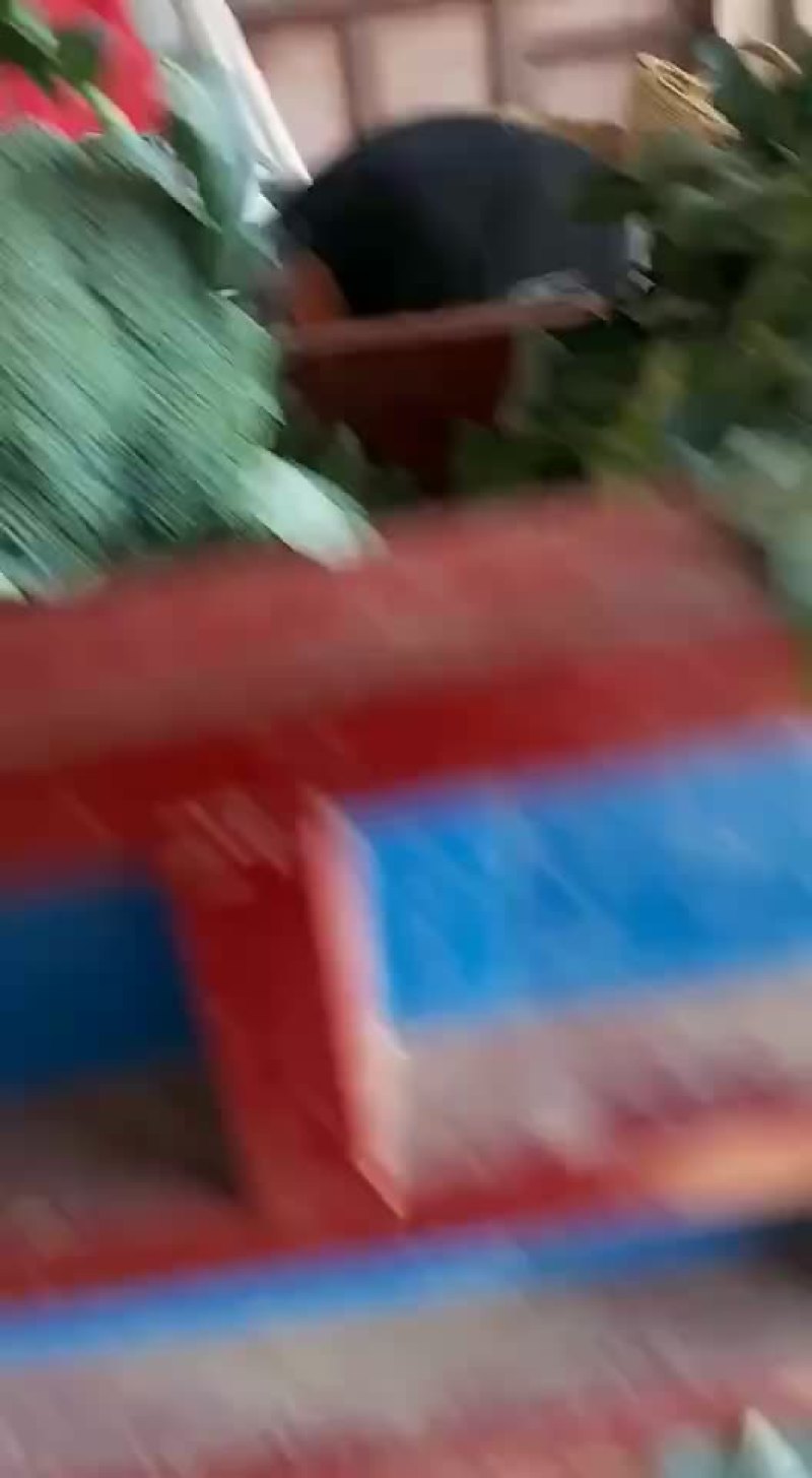 精品西兰花上市，价格不贵