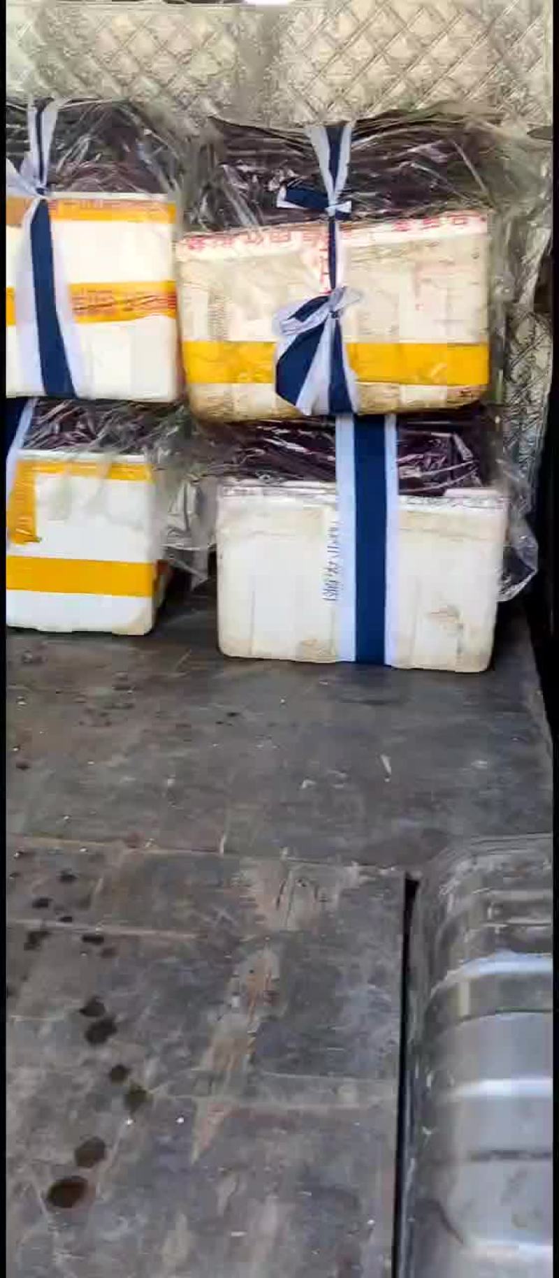 浙江绍兴红线茄