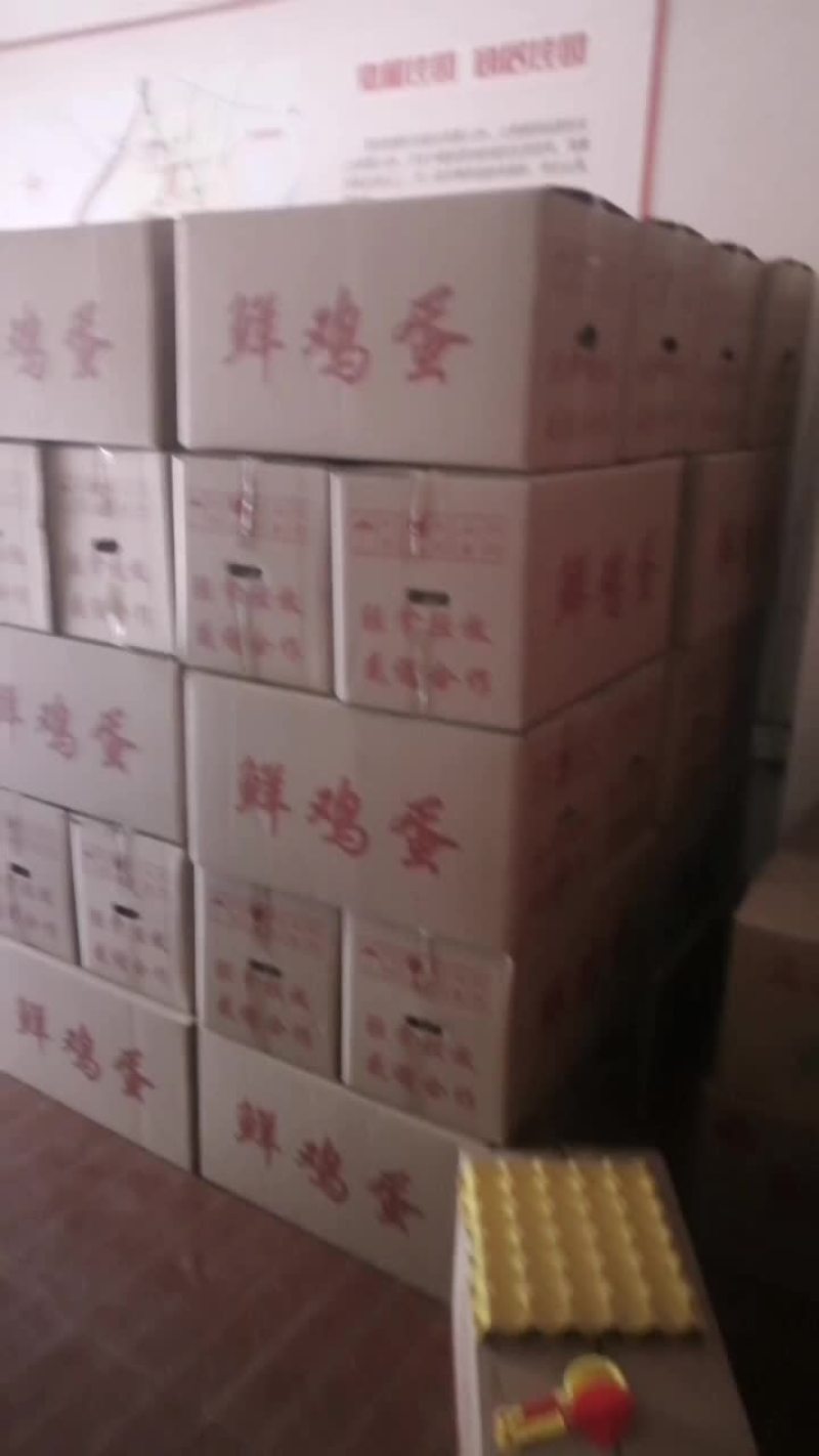粉蛋60~75g食用，大小都有