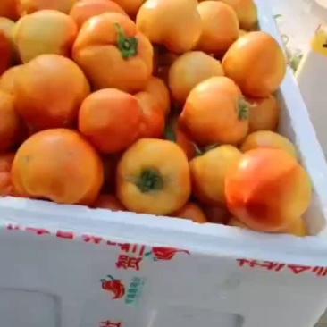903.线茄