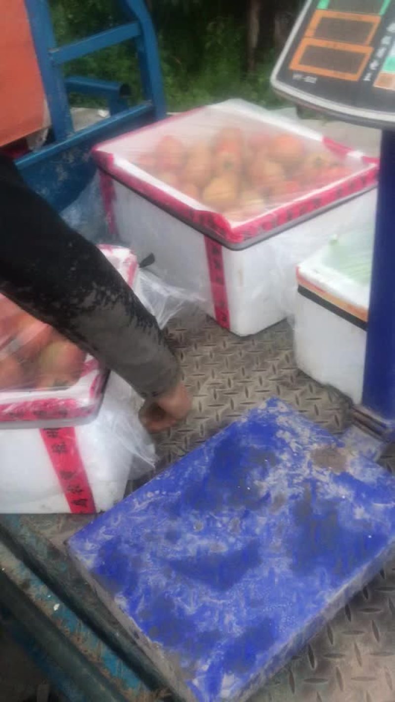 903.线茄