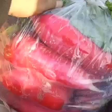 水萝卜