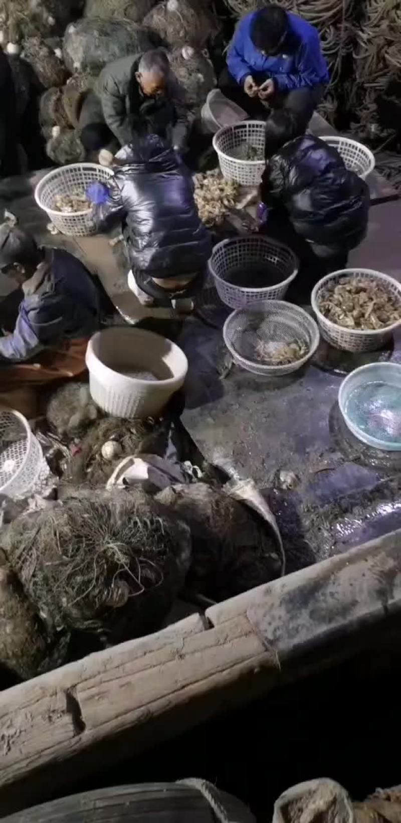 皮皮虾鲜活的，有需要走水车的联系我，