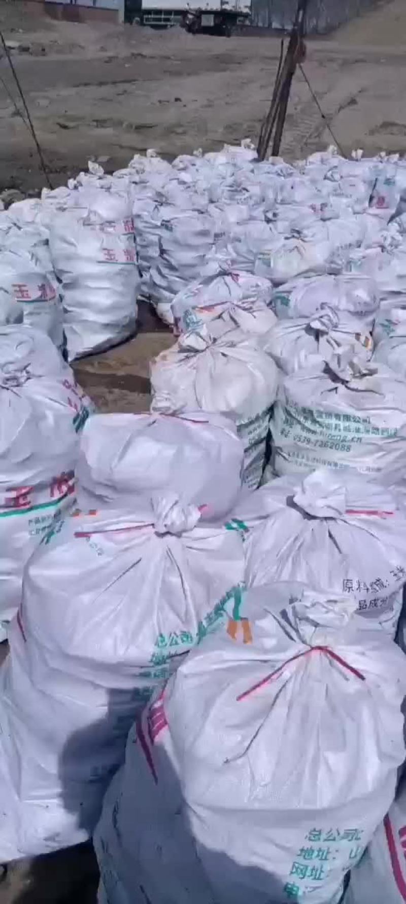 河蚌大量上市，规格齐全，欢迎来电咨询