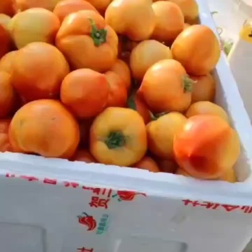 903