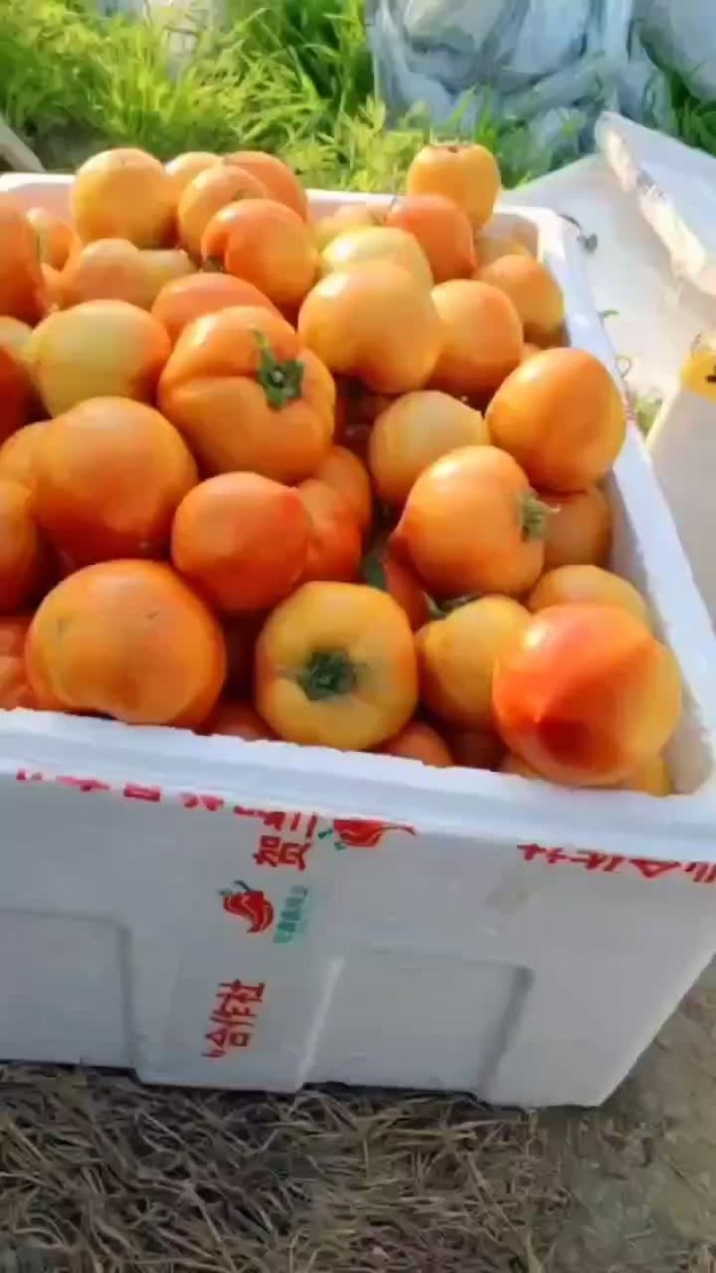 903