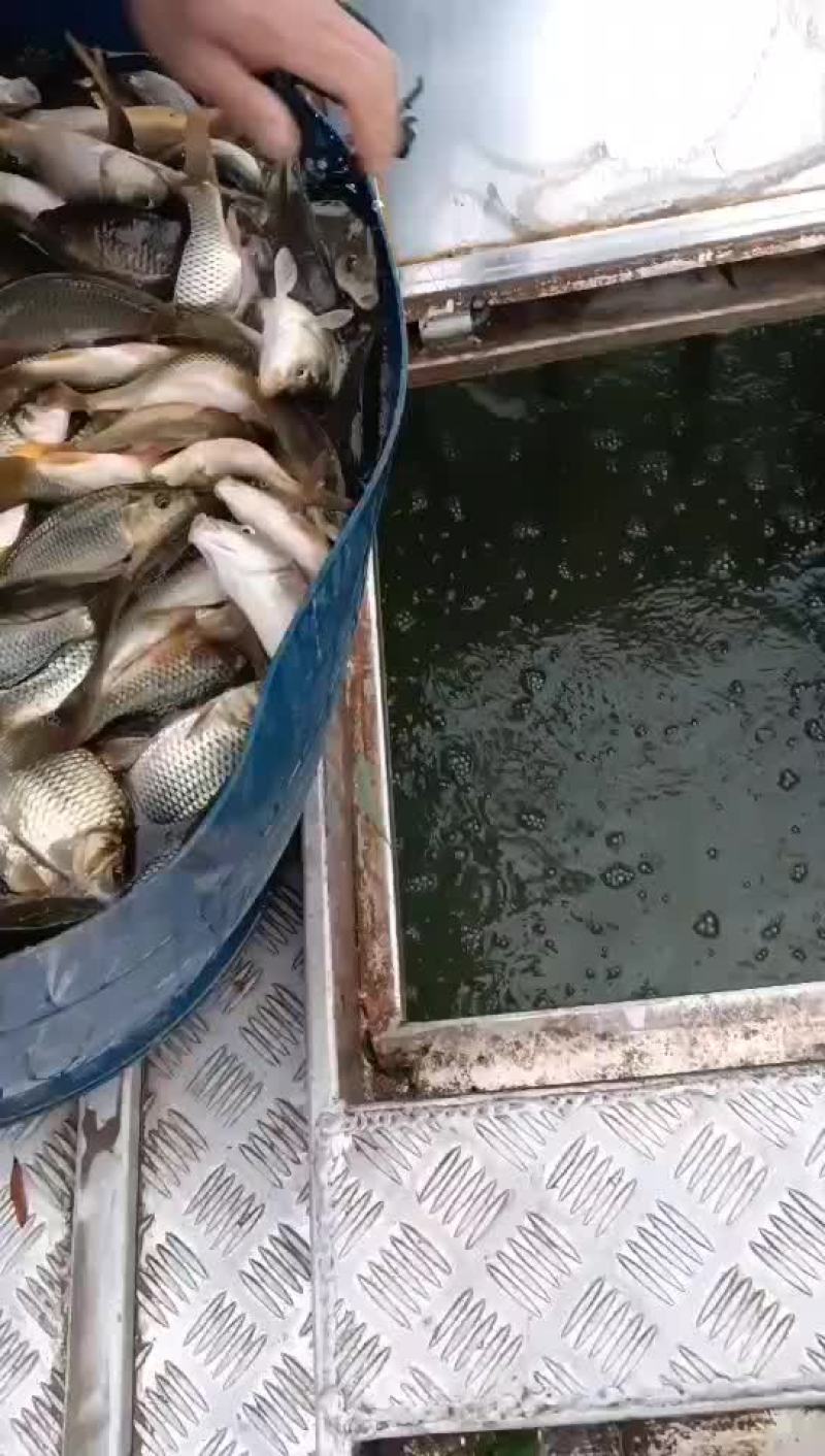 不卖了