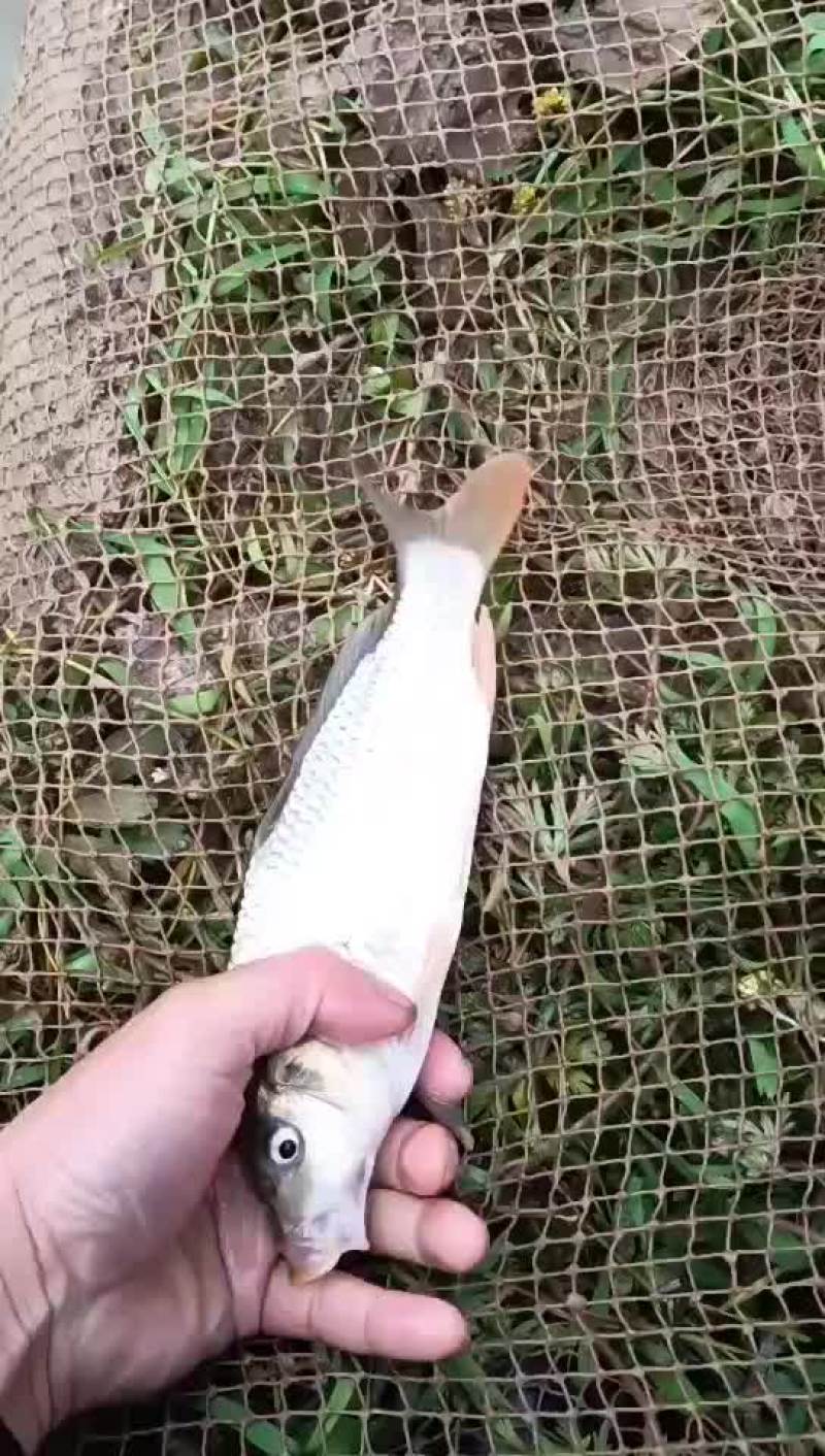 不卖了