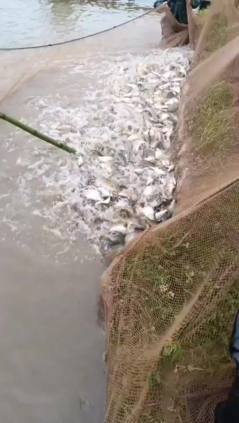 不卖了