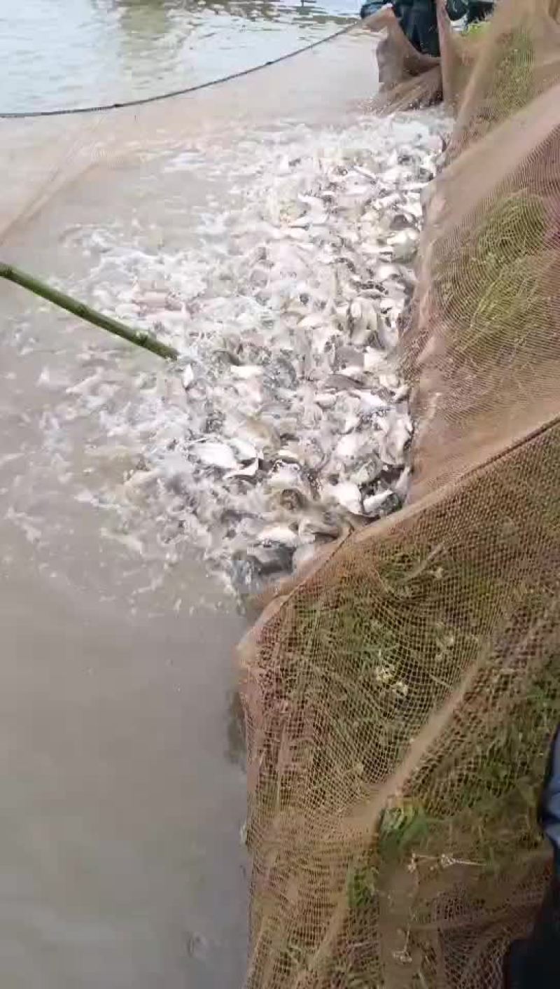 不卖了