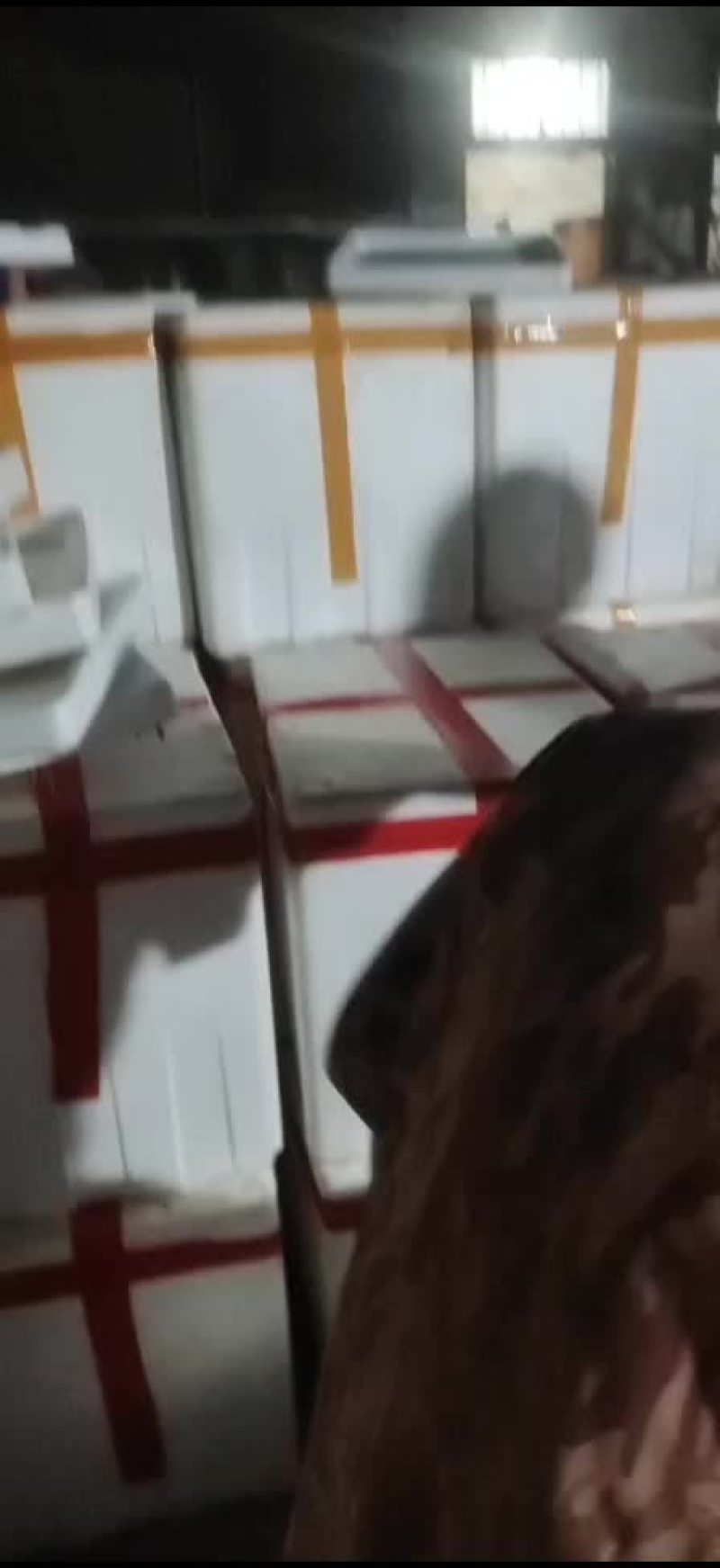 鱼腥草