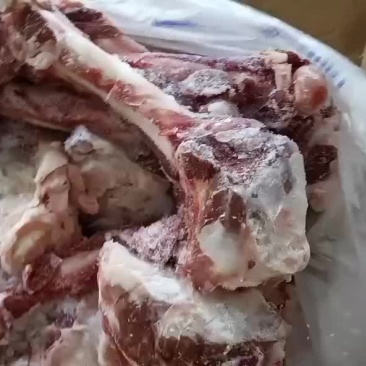 羔羊加肉腿骨