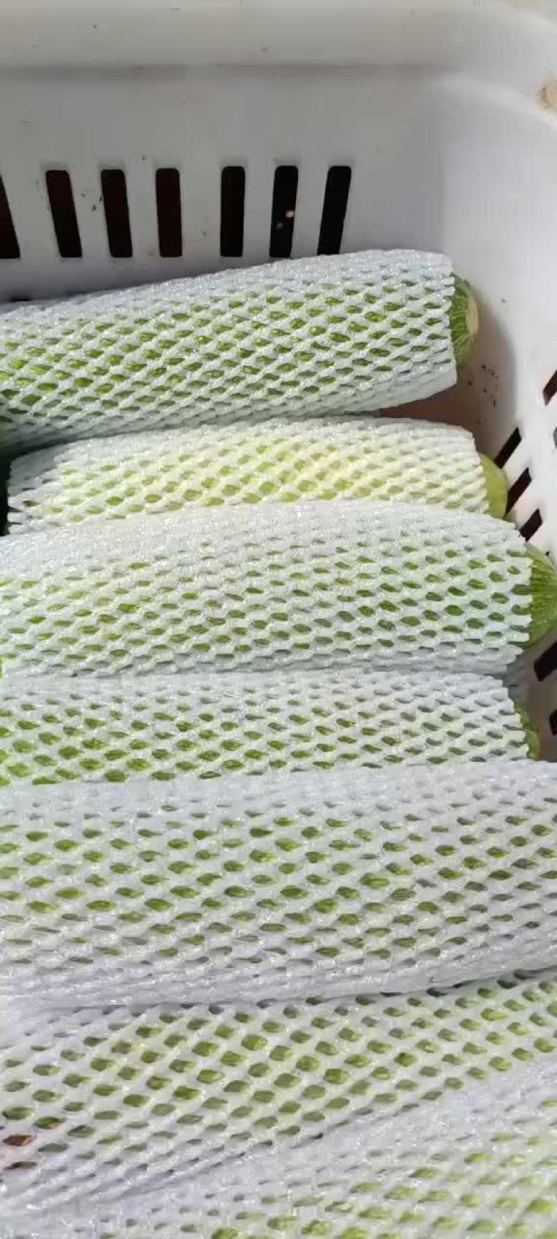 西葫芦