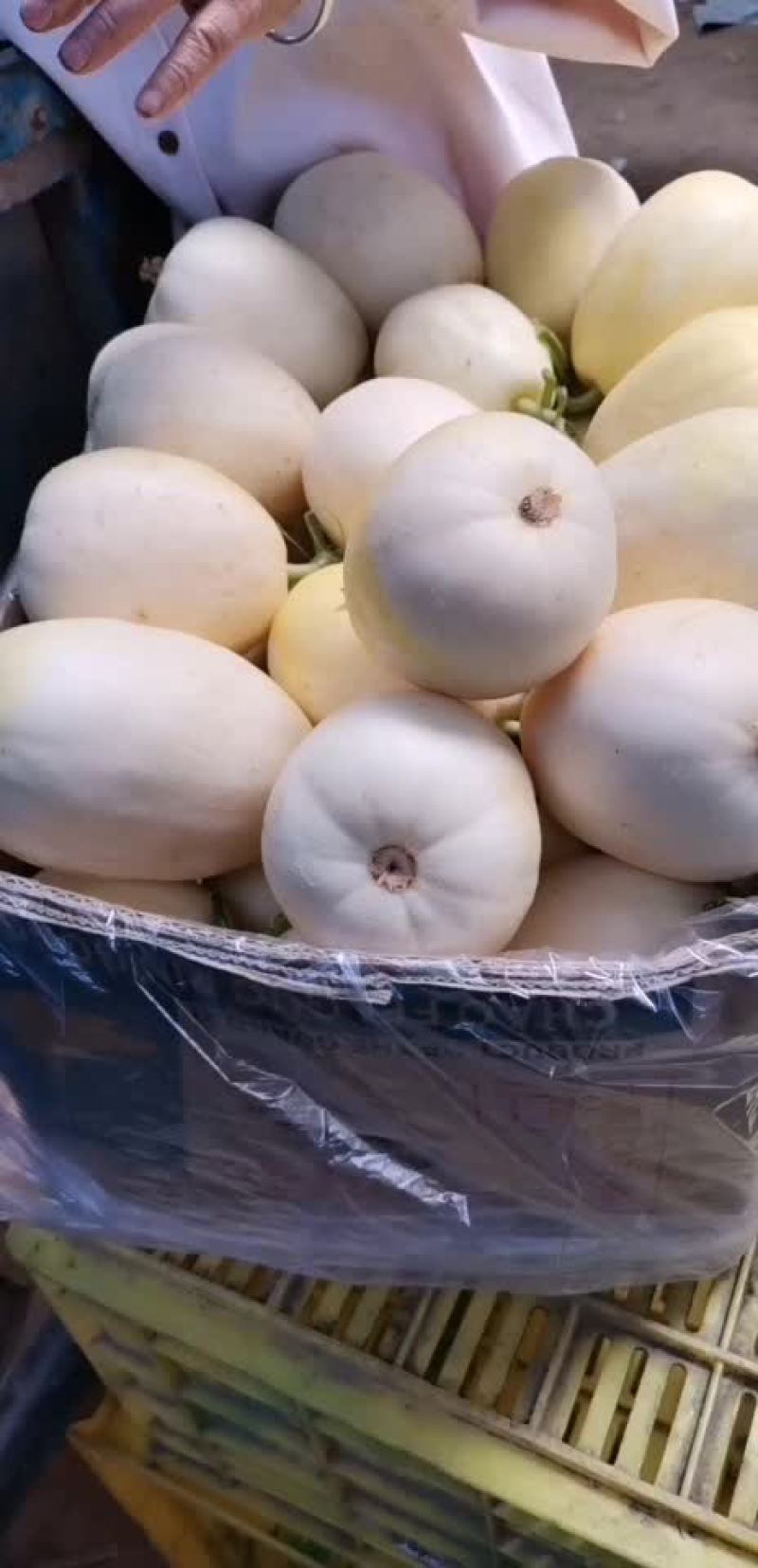 芝麻密甜瓜陕西渭南芝麻密甜瓜产地直销